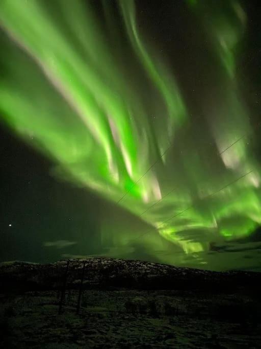 Aurora Borealis * Tromso