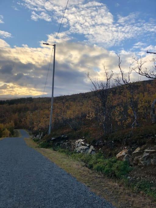 3 Roms Til Leie * Tromsø