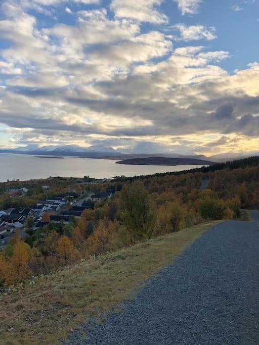 Appartement 3 Roms Til Leie Tromsø