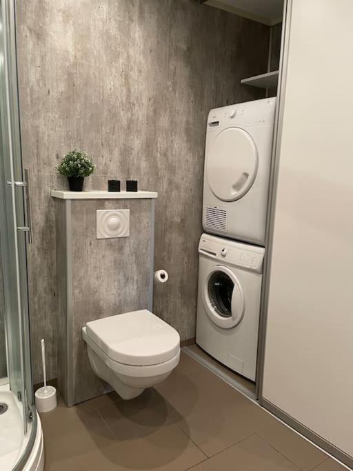 Appartement 3 Roms Til Leie