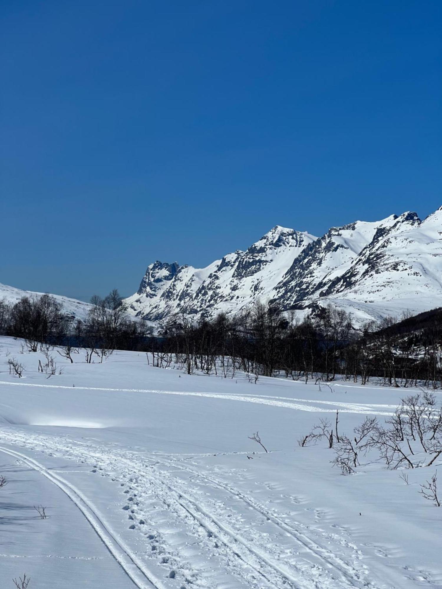 My Kaldfjorden Tromso