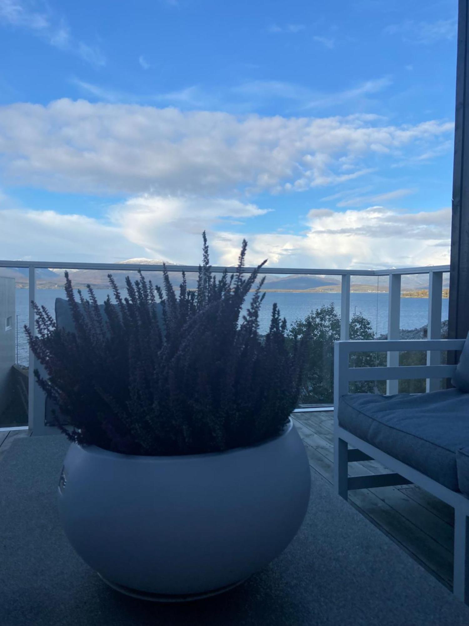 Artic Home- With Spectacular View Holiday home *