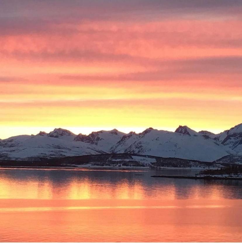 Holiday home Artic Home- With Spectacular View *