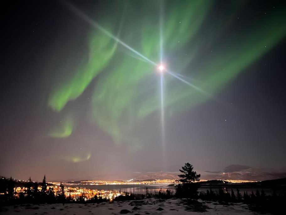 Eide Aurora *