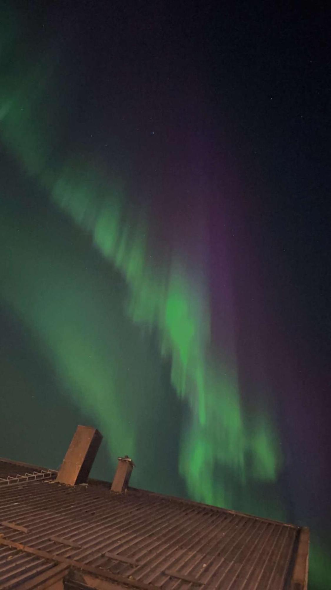 Comfy In Tromso