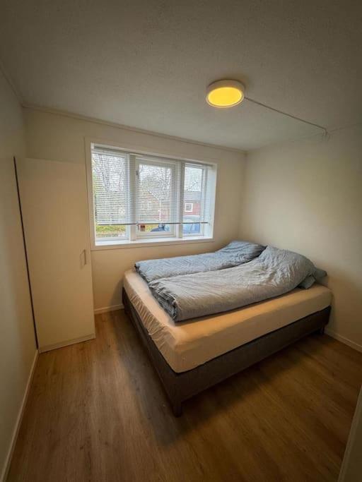 Apartment Cozy Arctic Aurora I Near The Arctic Cathedral *