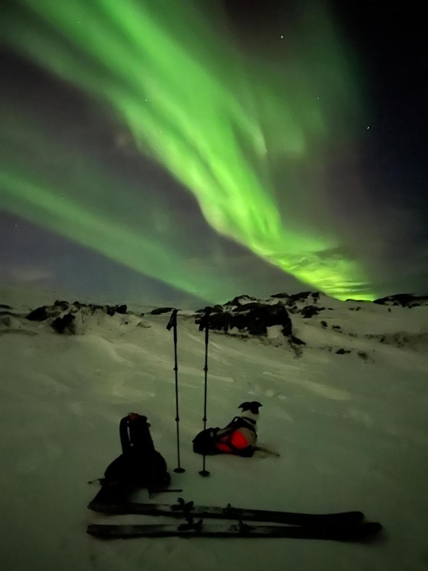 I Vakre Omgivelser * Tromsø