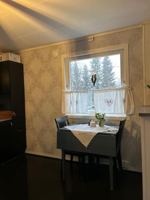 House With Charm, Valley With Lots Of Northern Lights, Breivikeidet Feriehus