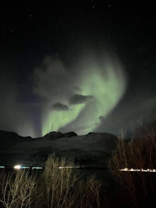 Modern Luxury Apartment, Two Bedrooms And Two Big Beds Tromsø