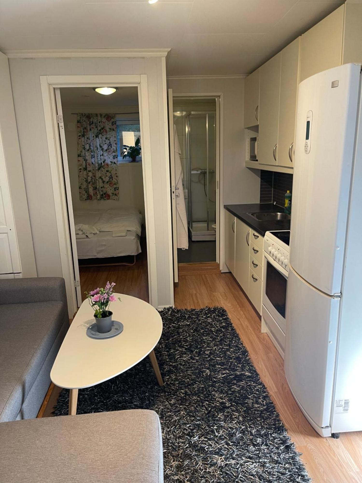 Apartment Romslig Hybel