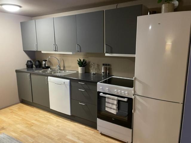 Appartement I Naerheten Av Sentrum