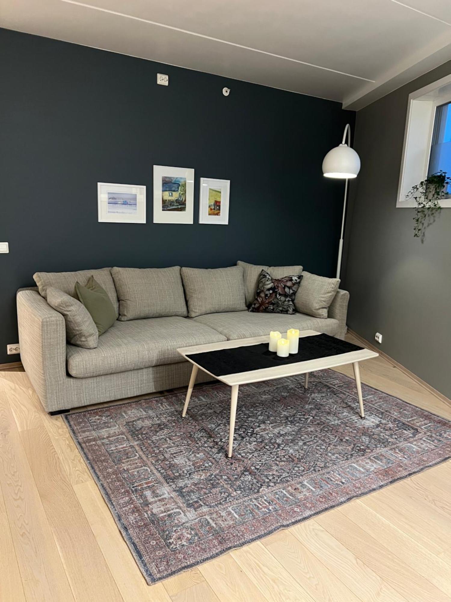 Apartment Koselig Byleilighet Sor I Sentrum Av Tromso.