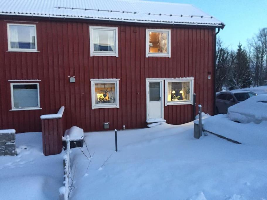 In The Heart Of The Northern Lights * Tromso