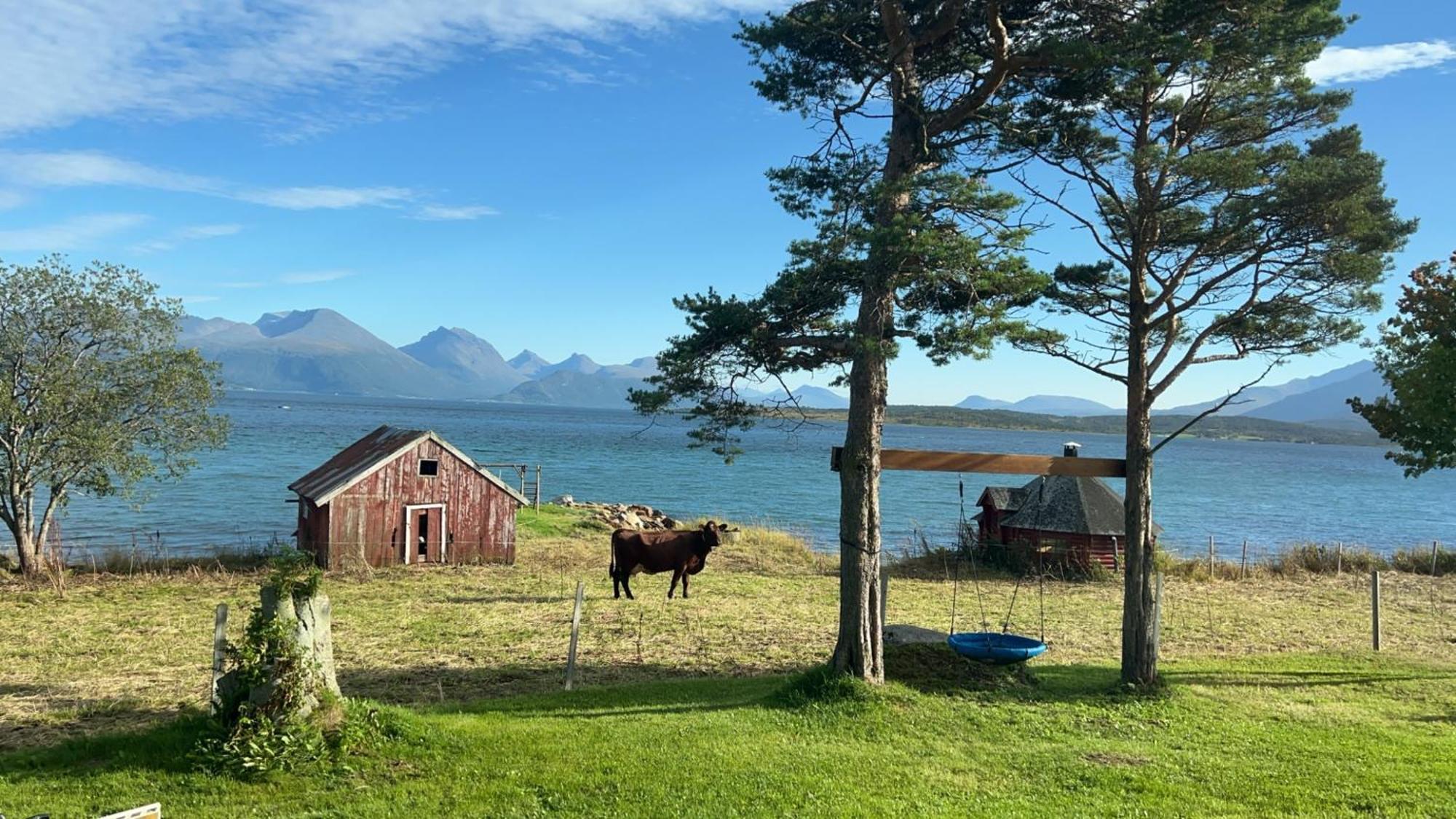 Kongeriket Slottnes