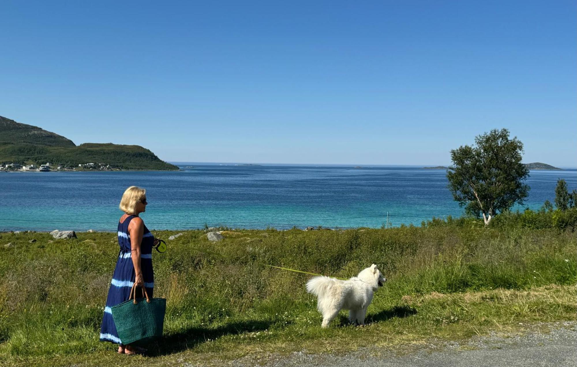 Tromvik Holiday home *
