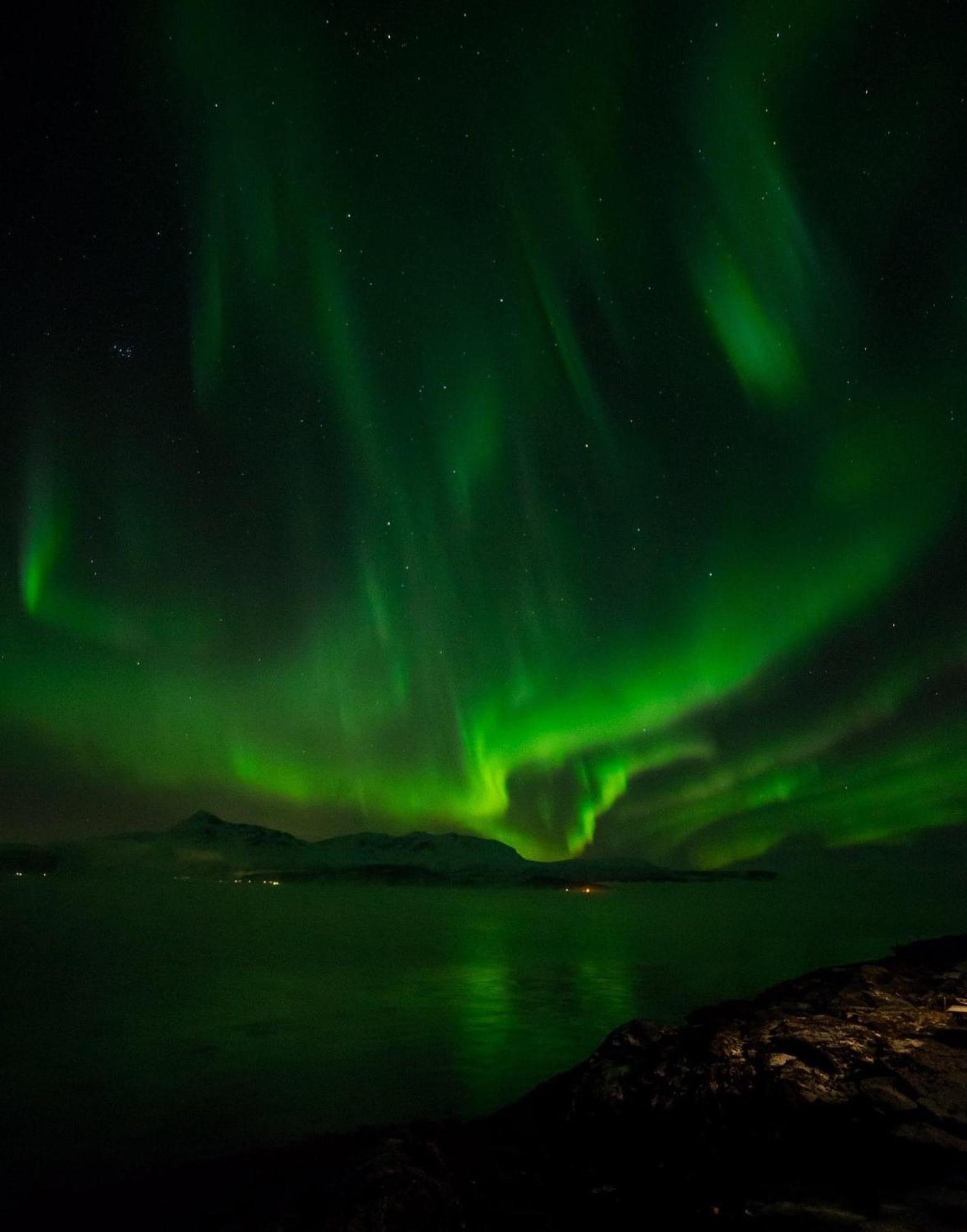 Elegant Center Of Tromso