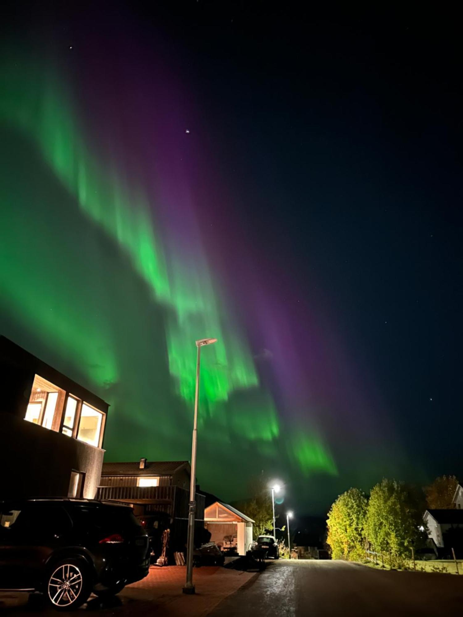 Koselig Byleilighet Sor I Sentrum Av Tromso. Apartment *