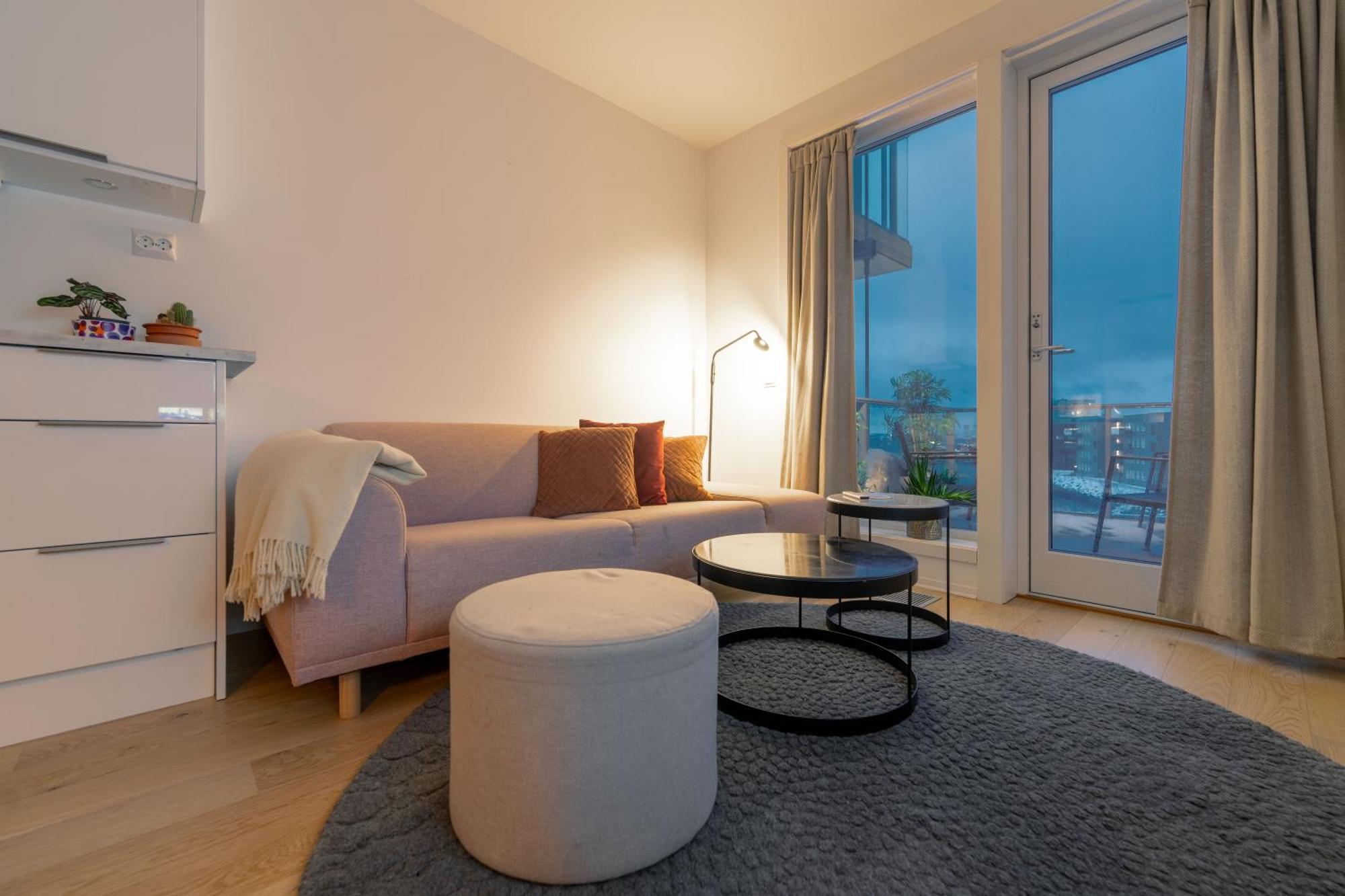 Northern Light - Skir Ocean View * Tromso