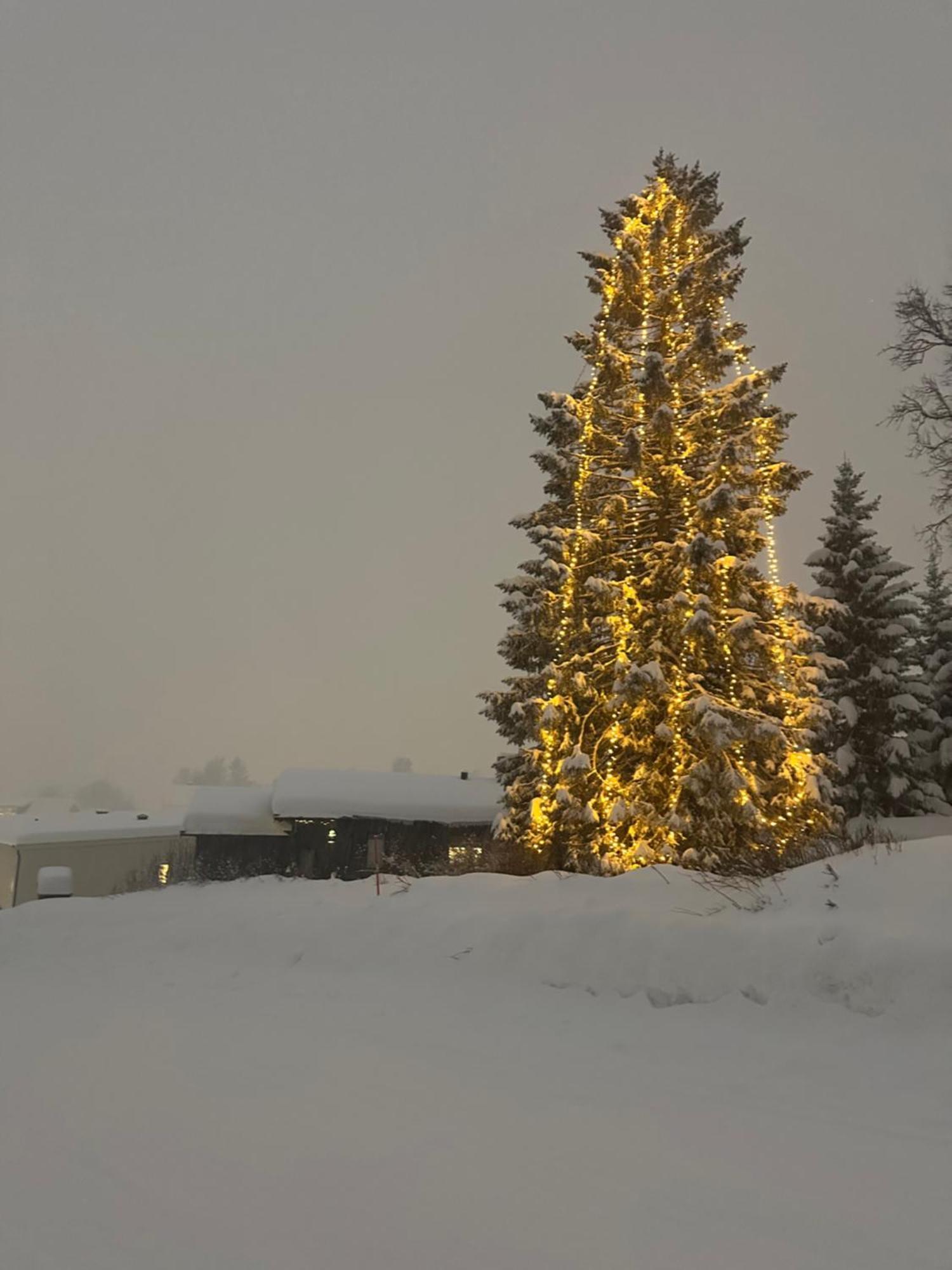 Apartment Koselig Byleilighet Sor I Sentrum Av Tromso.