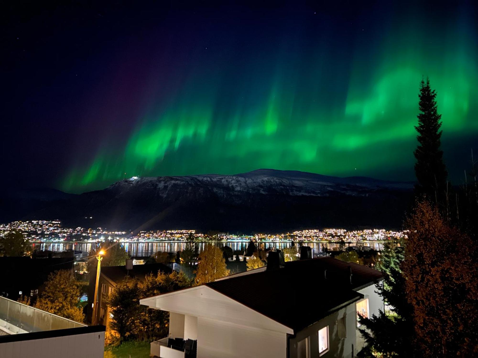 Arctic Escape Close To Center Appartement