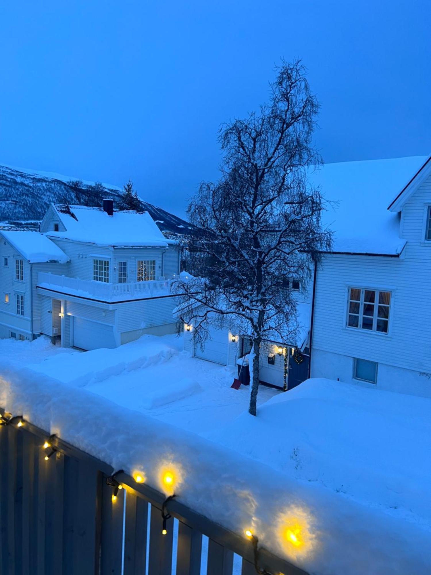 Cozy Northern Light *