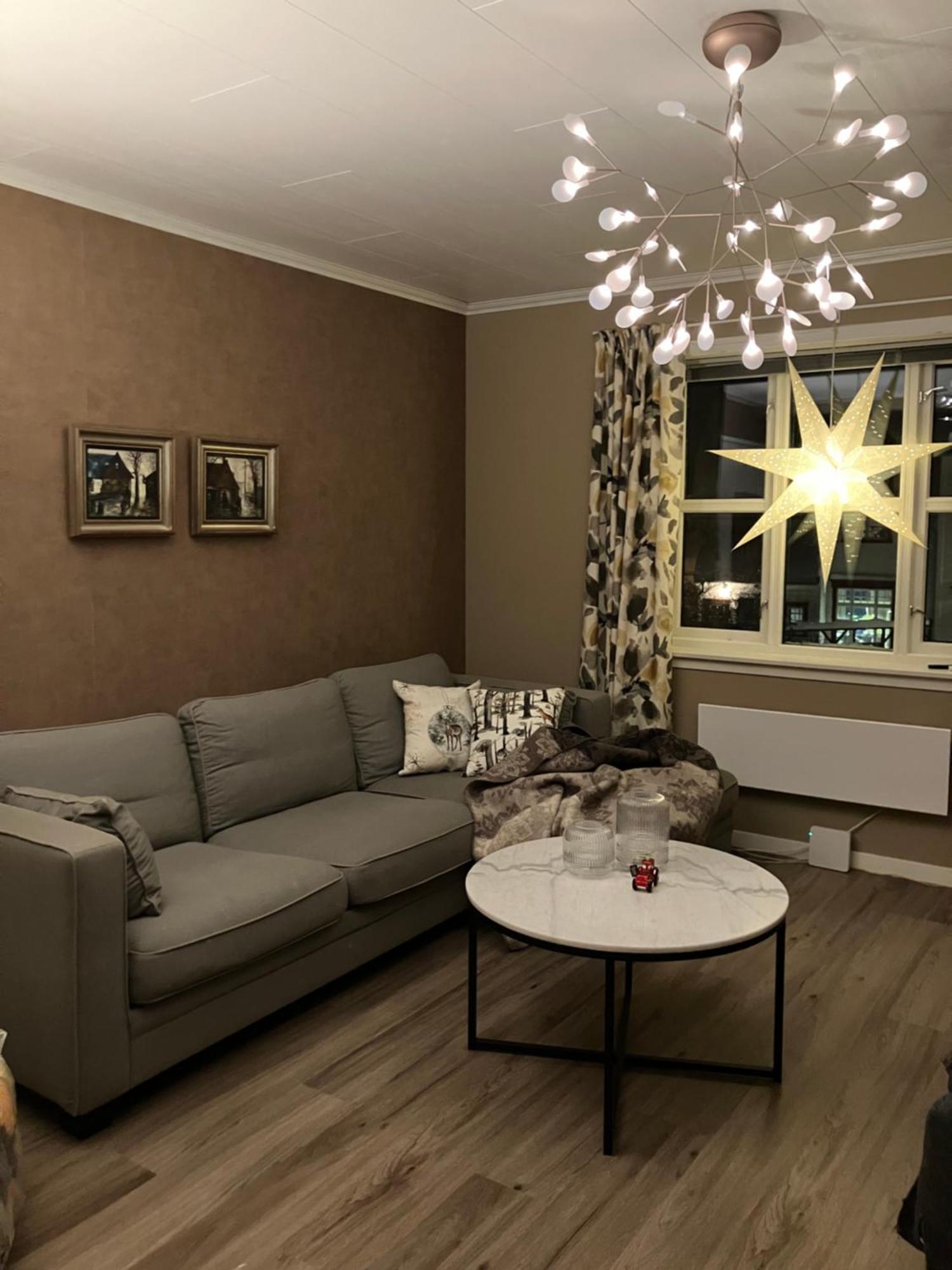 Cozy Northern Light Apartment *
