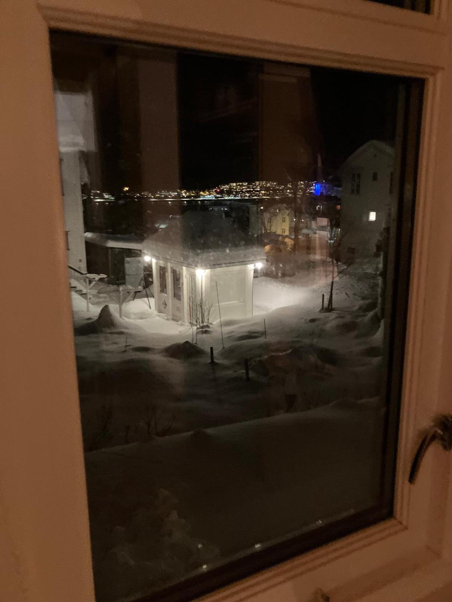 Cozy Northern Light *