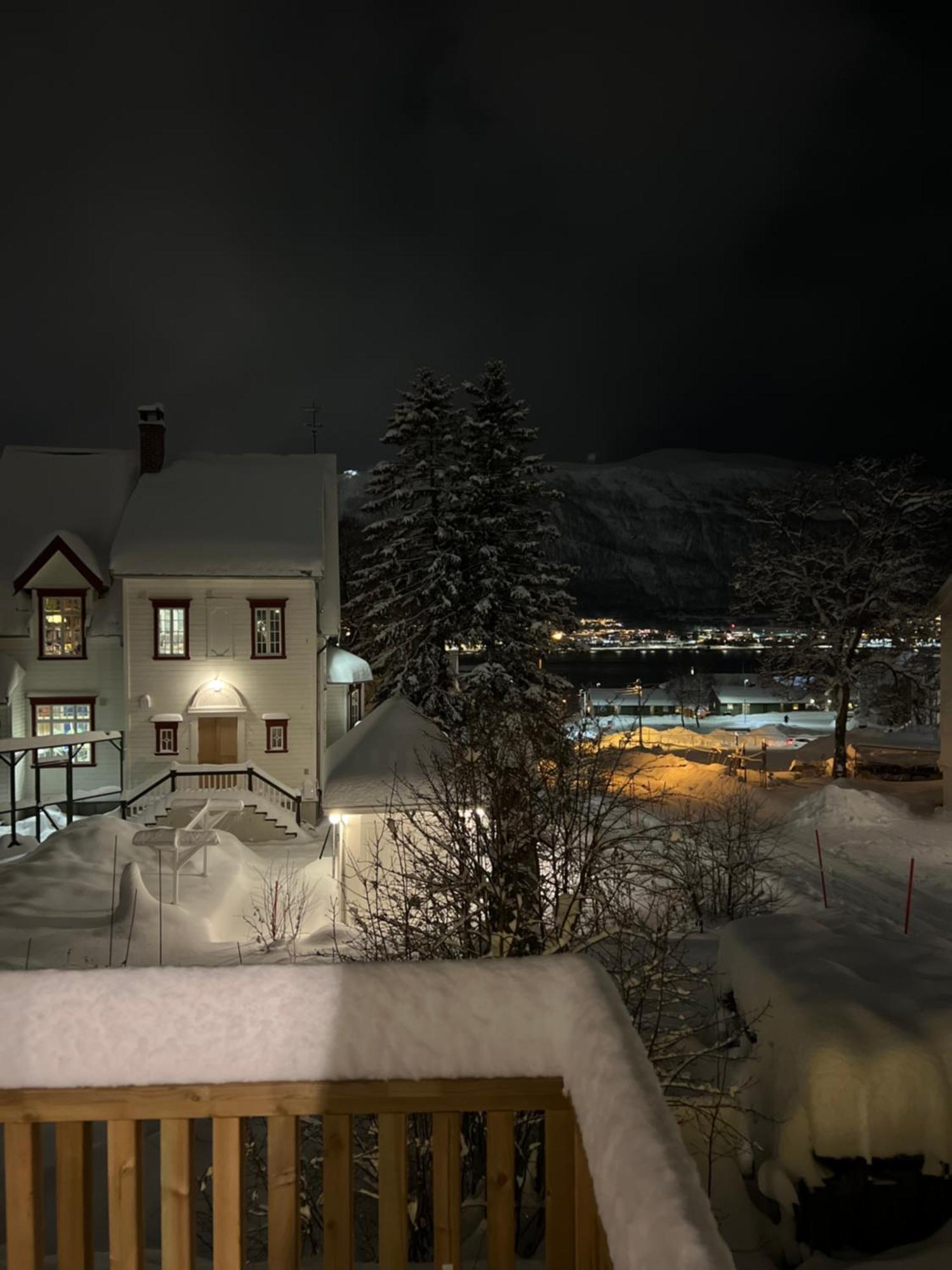 Cozy Northern Light Apartment *