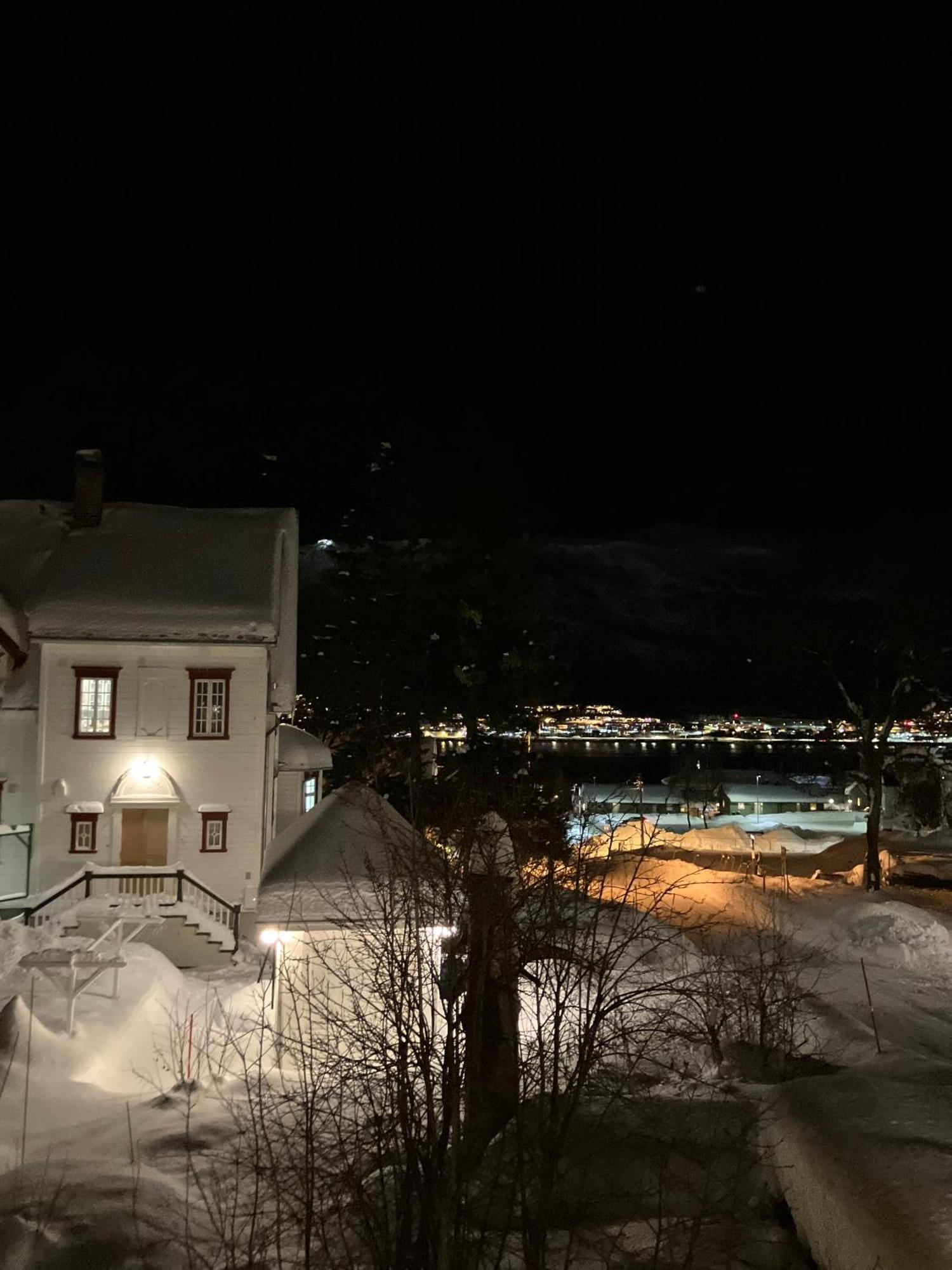 Cozy Northern Light Tromso