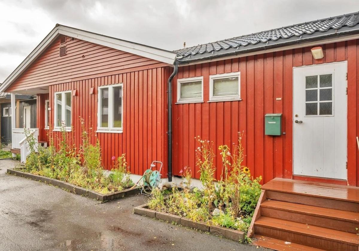 Cozy And Dorm *