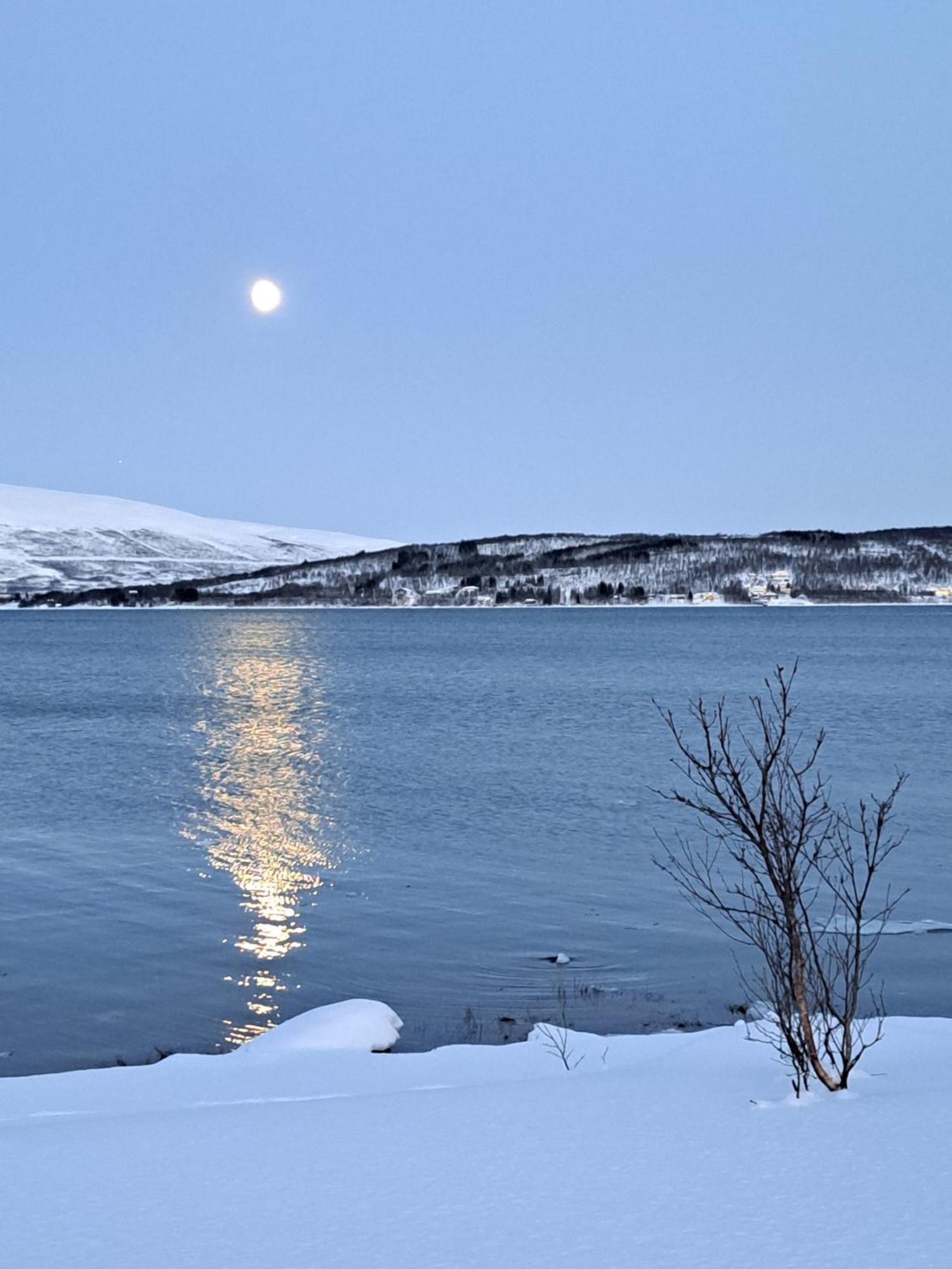 Kvaloya, I Hakoybotn * Tromso