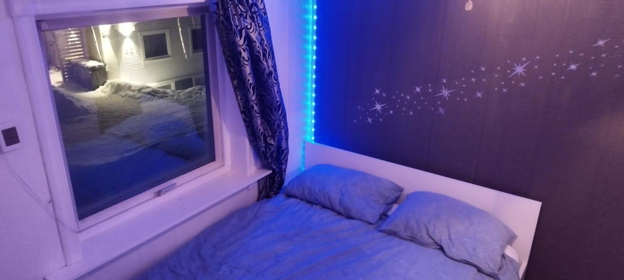 Your Arctic Apartment *