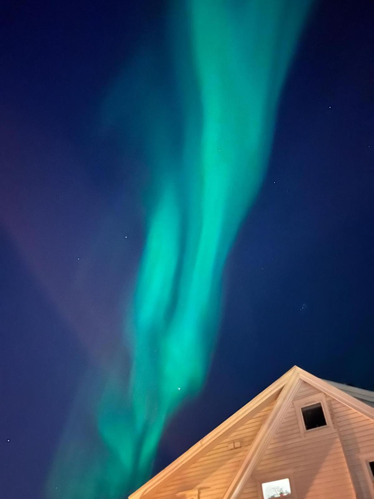 Your Arctic