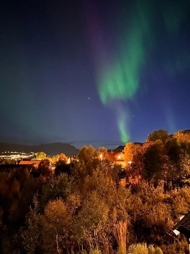 Spacious Perfect For Aurora Spotting, Free Parking Villa