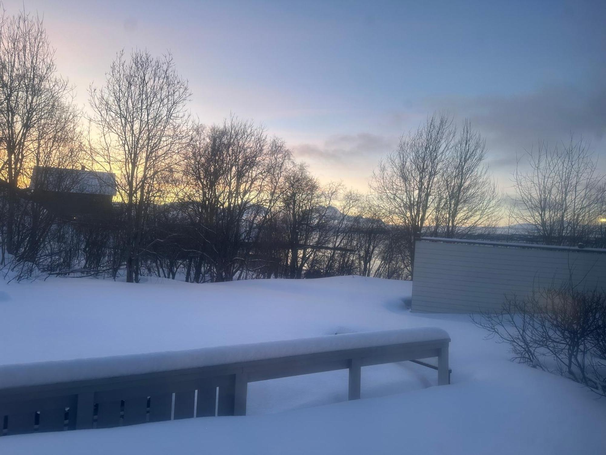 Selmarctic * Tromso