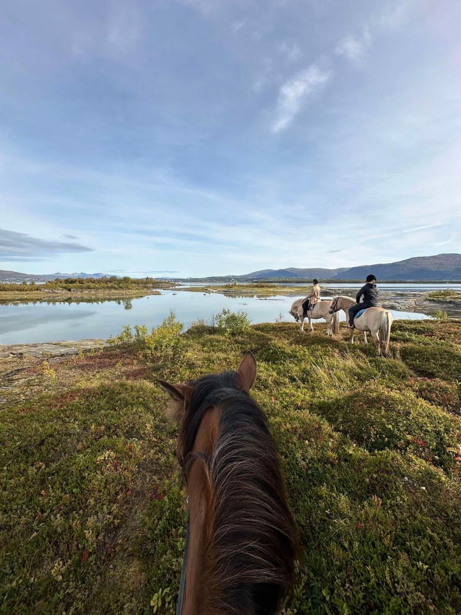Marisletta Farm - House By The Sea Holiday home Tromso