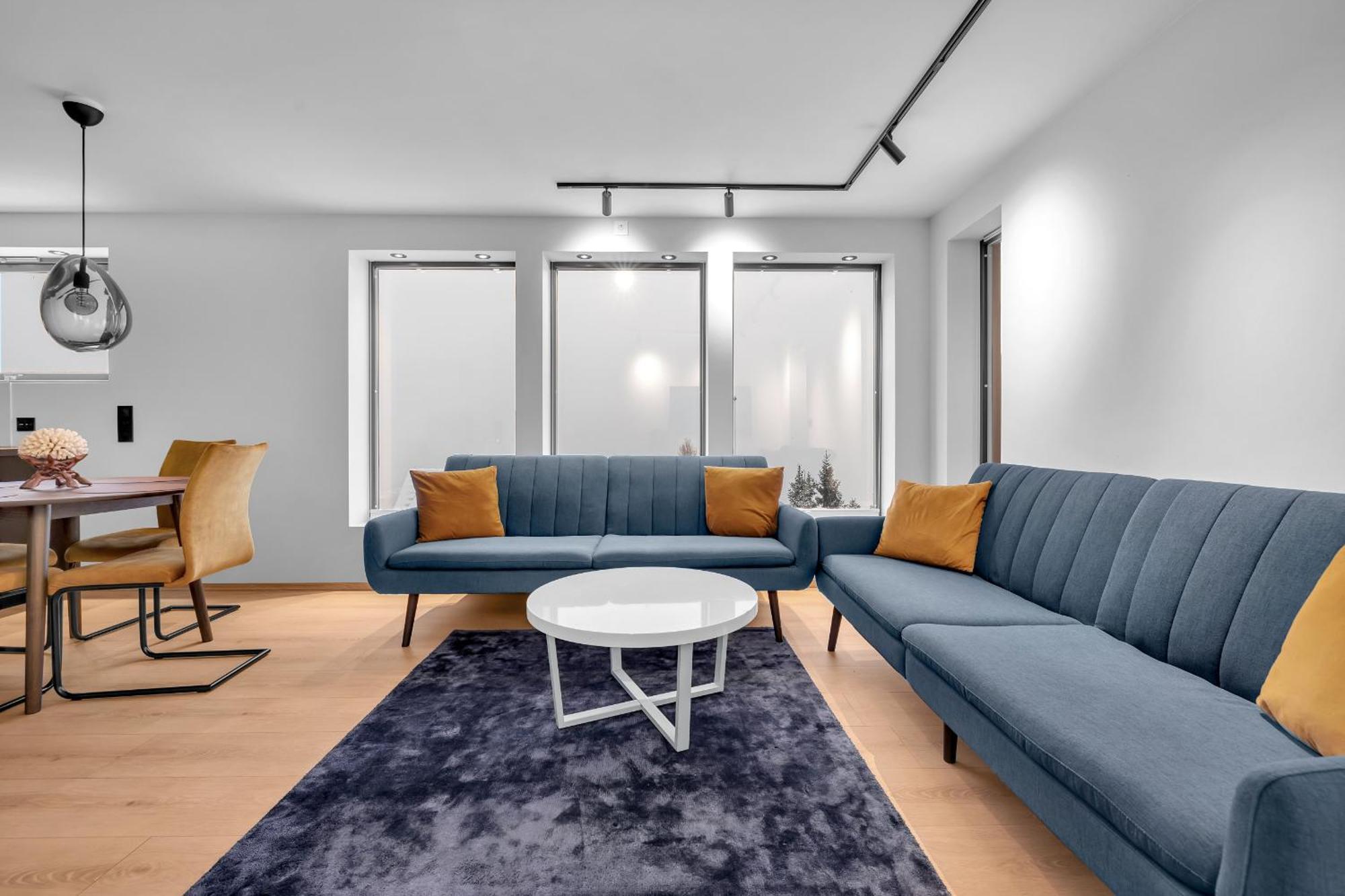 The Mountain View Appartement