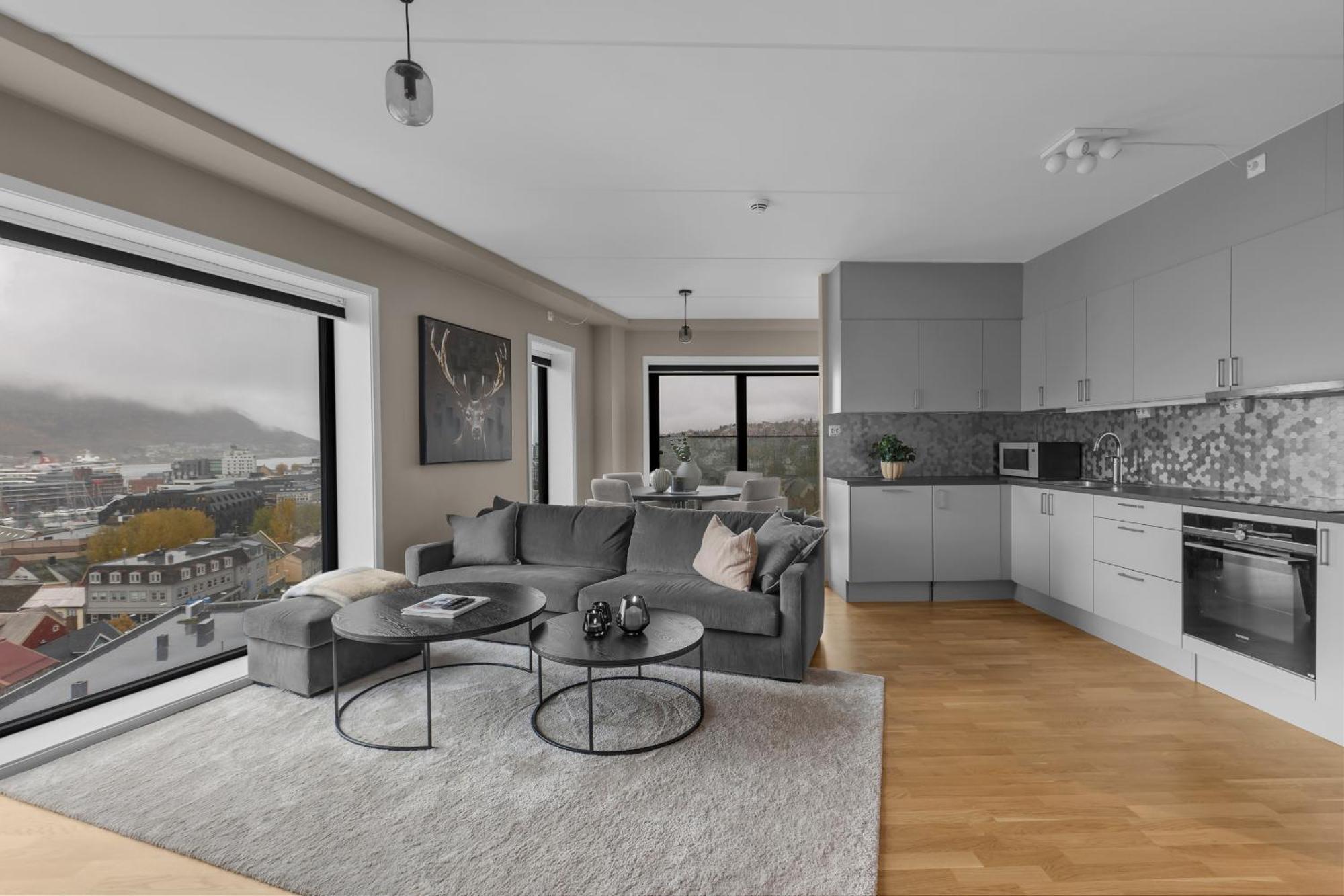 The View - Center With Spectacular Views Apartment Tromso