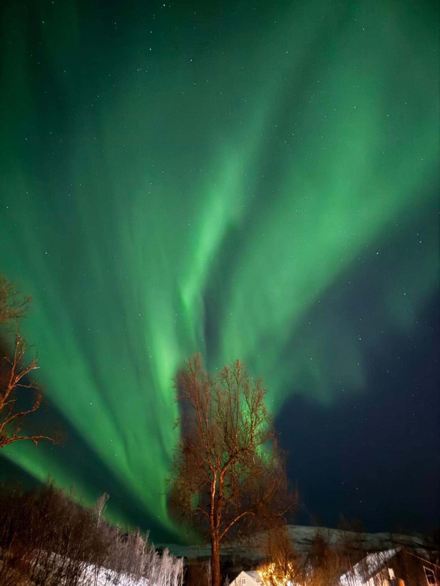 Hakoya * Tromso