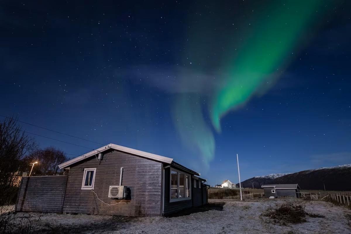 Cozy By The Sea * Tromsø