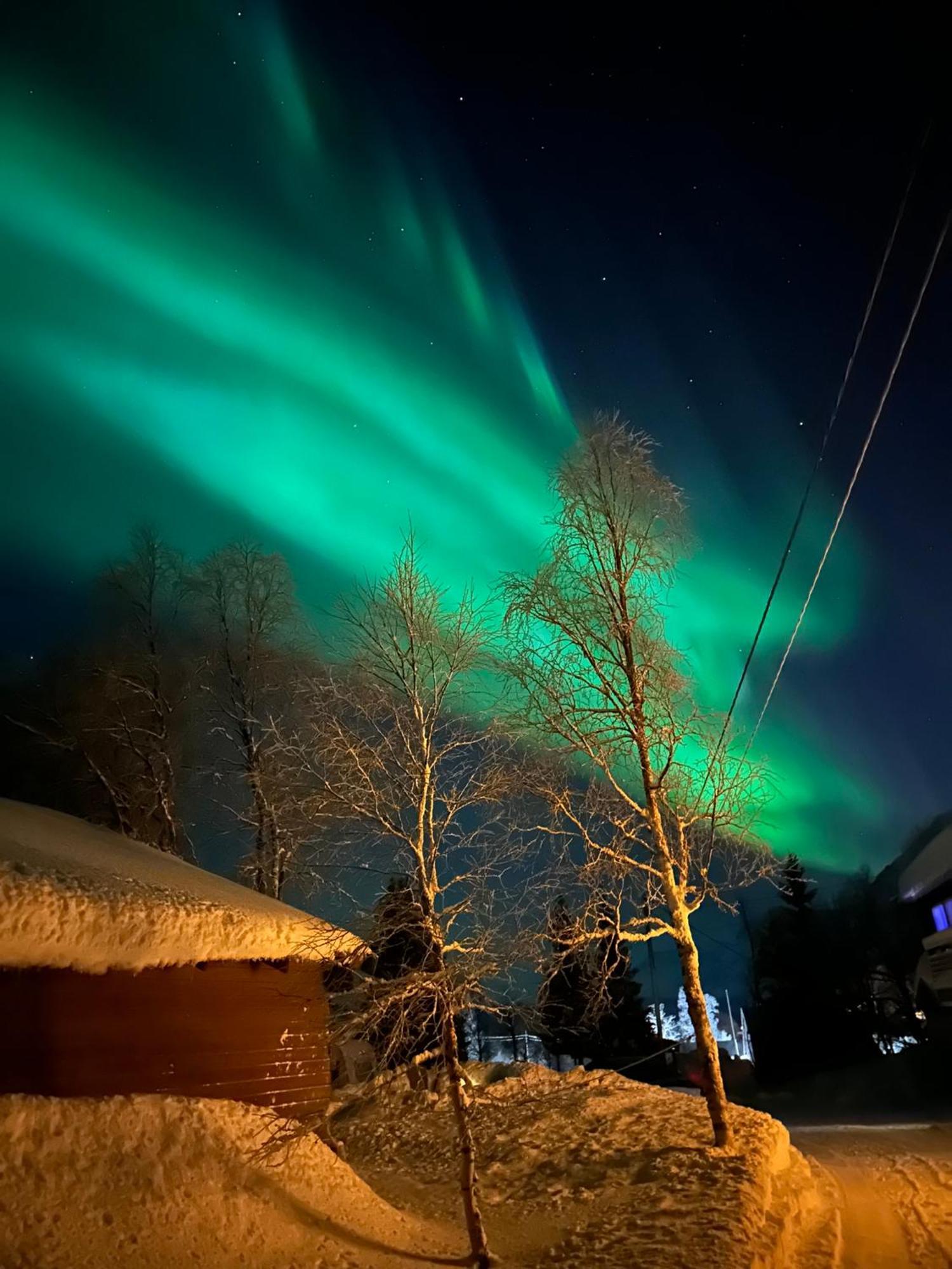 Feriehus House With Charm, Valley With Lots Of Northern Lights, Breivikeidet