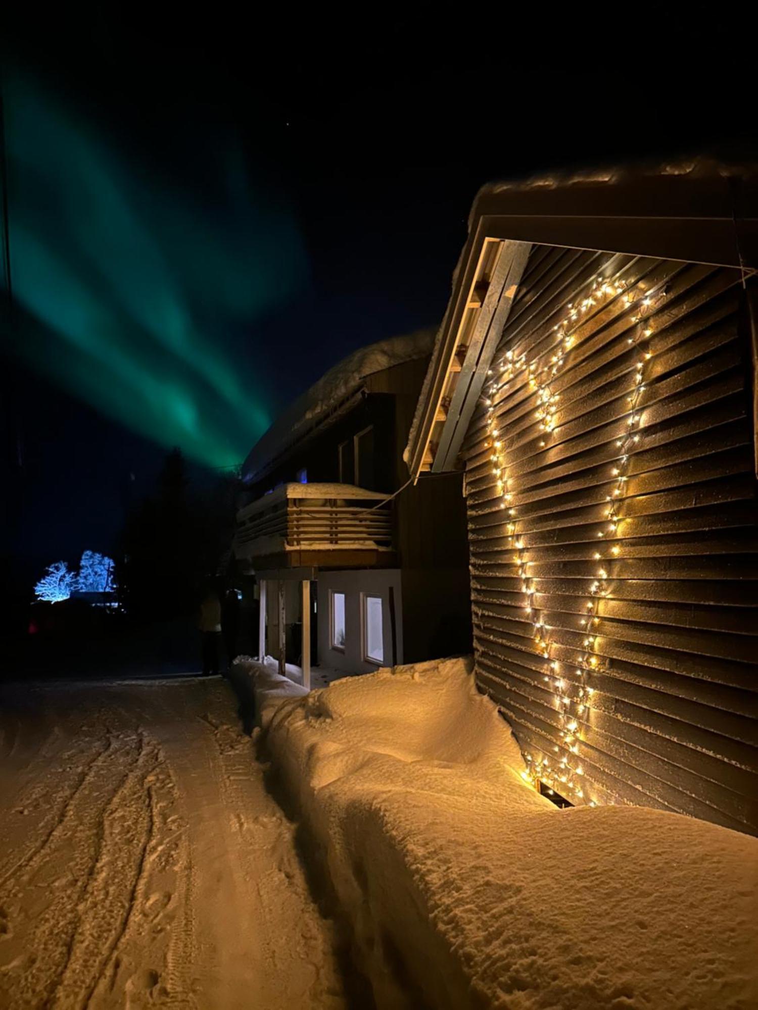 Feriehus House With Charm, Valley With Lots Of Northern Lights, Breivikeidet