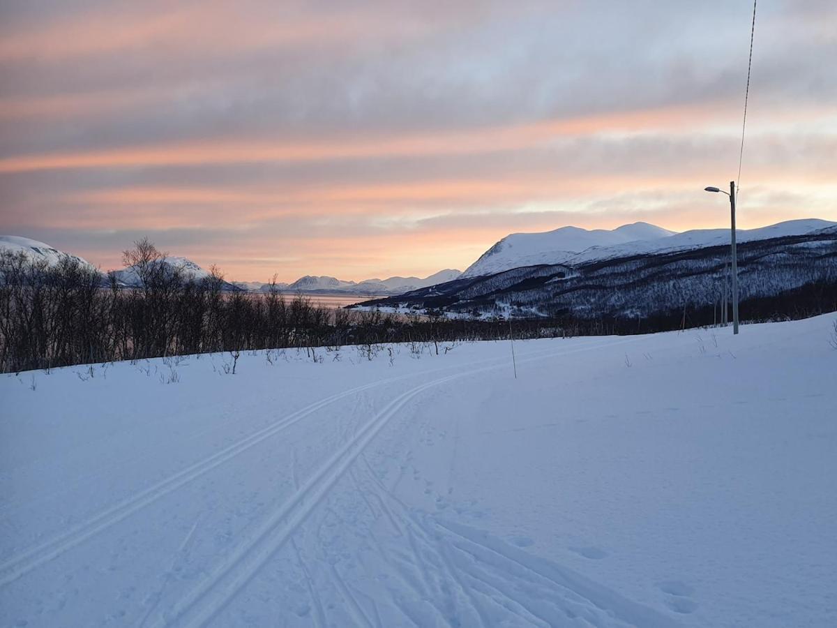 Villa Moderne Ved Havet 3 Soverom Og 2 Bad Tromso