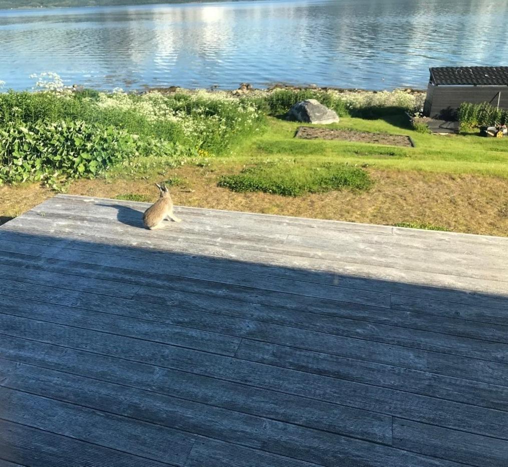 Villa Moderne Ved Havet 3 Soverom Og 2 Bad Tromso