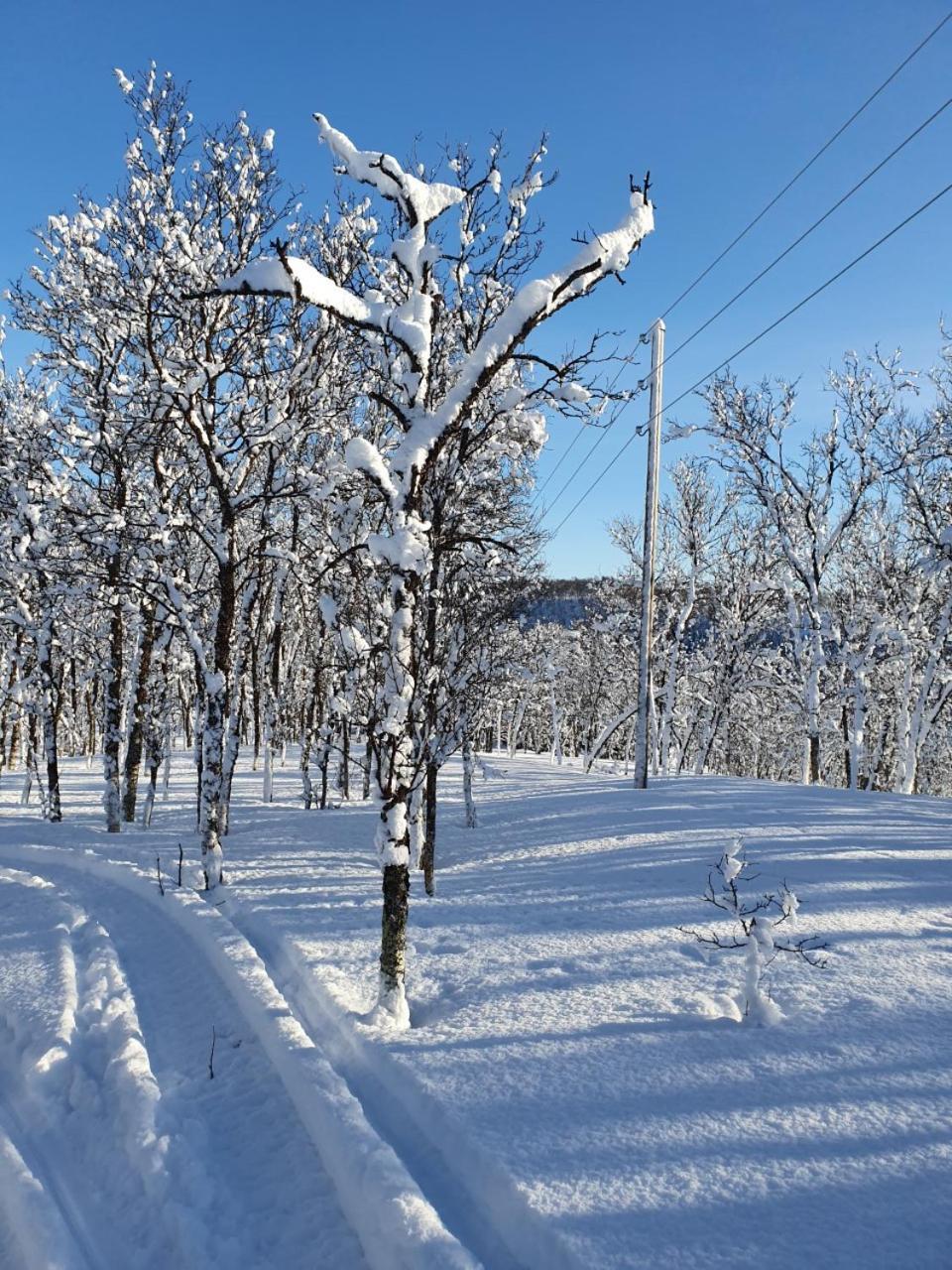 Villa Moderne Ved Havet 3 Soverom Og 2 Bad Tromso