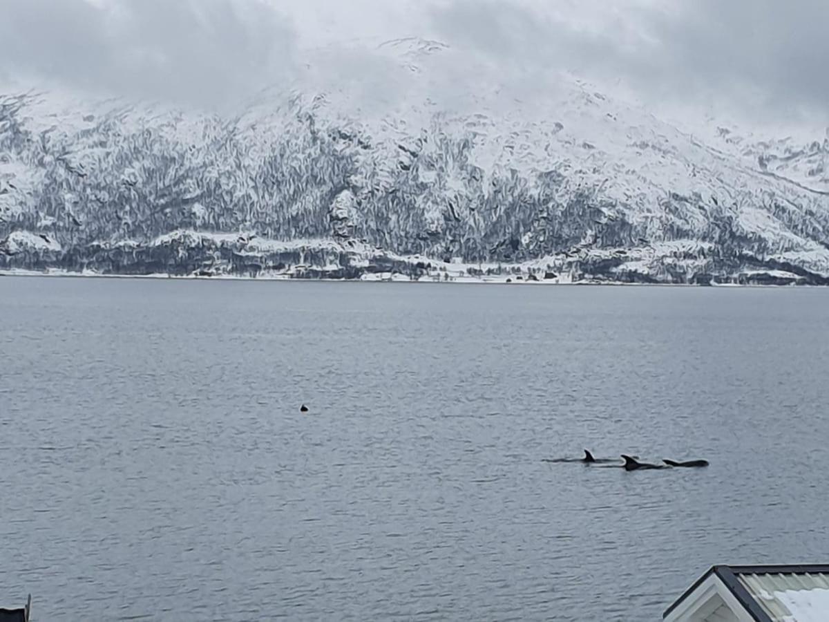 Villa Moderne Ved Havet 3 Soverom Og 2 Bad *