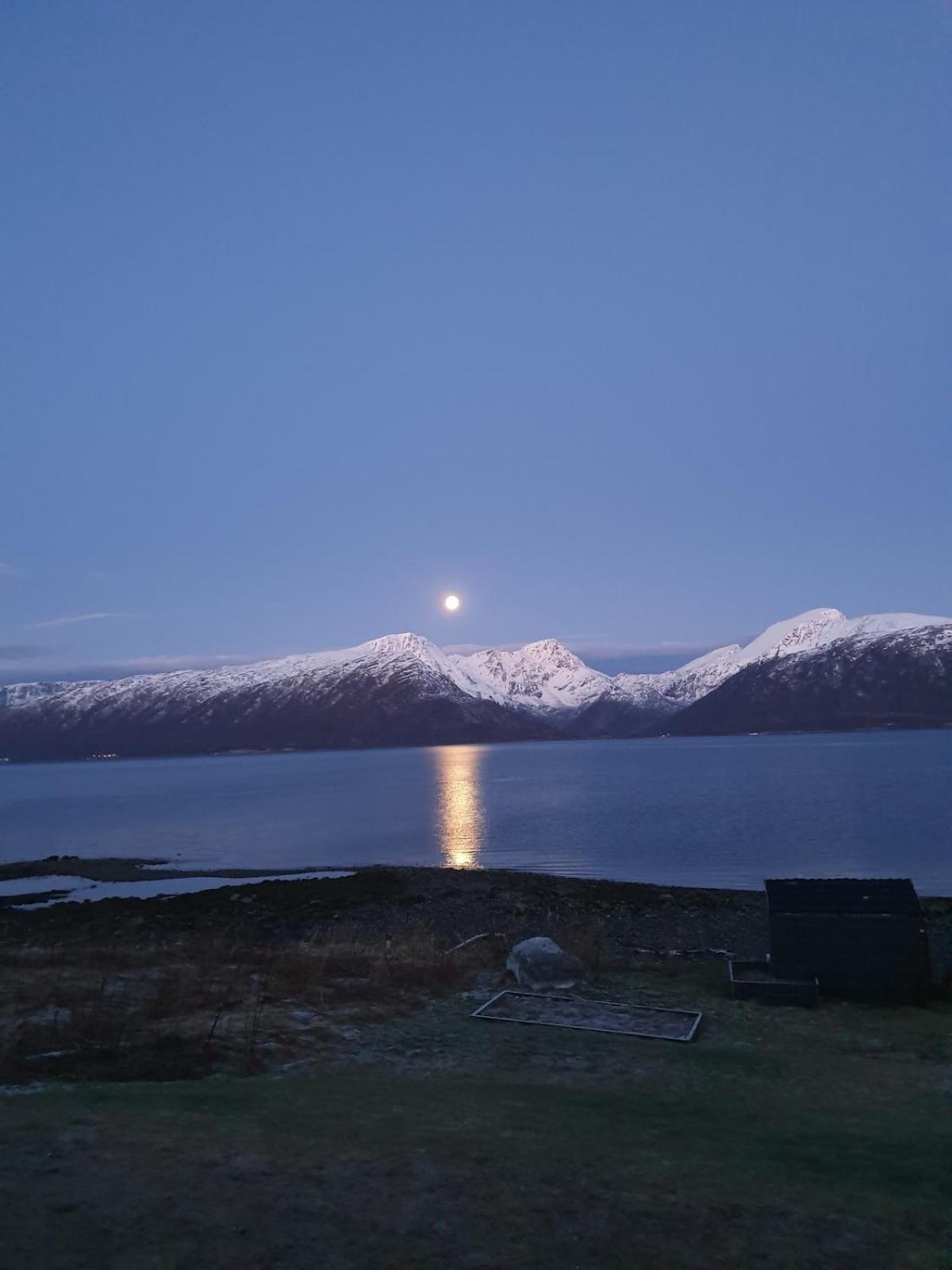 Villa Moderne Ved Havet 3 Soverom Og 2 Bad Tromso