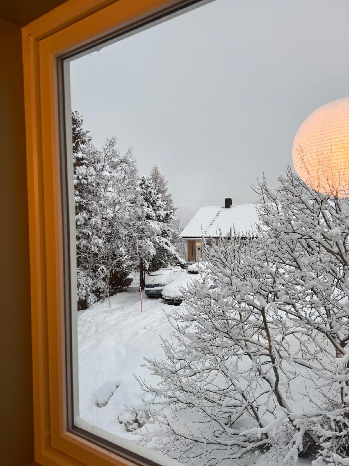 Apartment Haakon Viis Gate 3d Tromsø