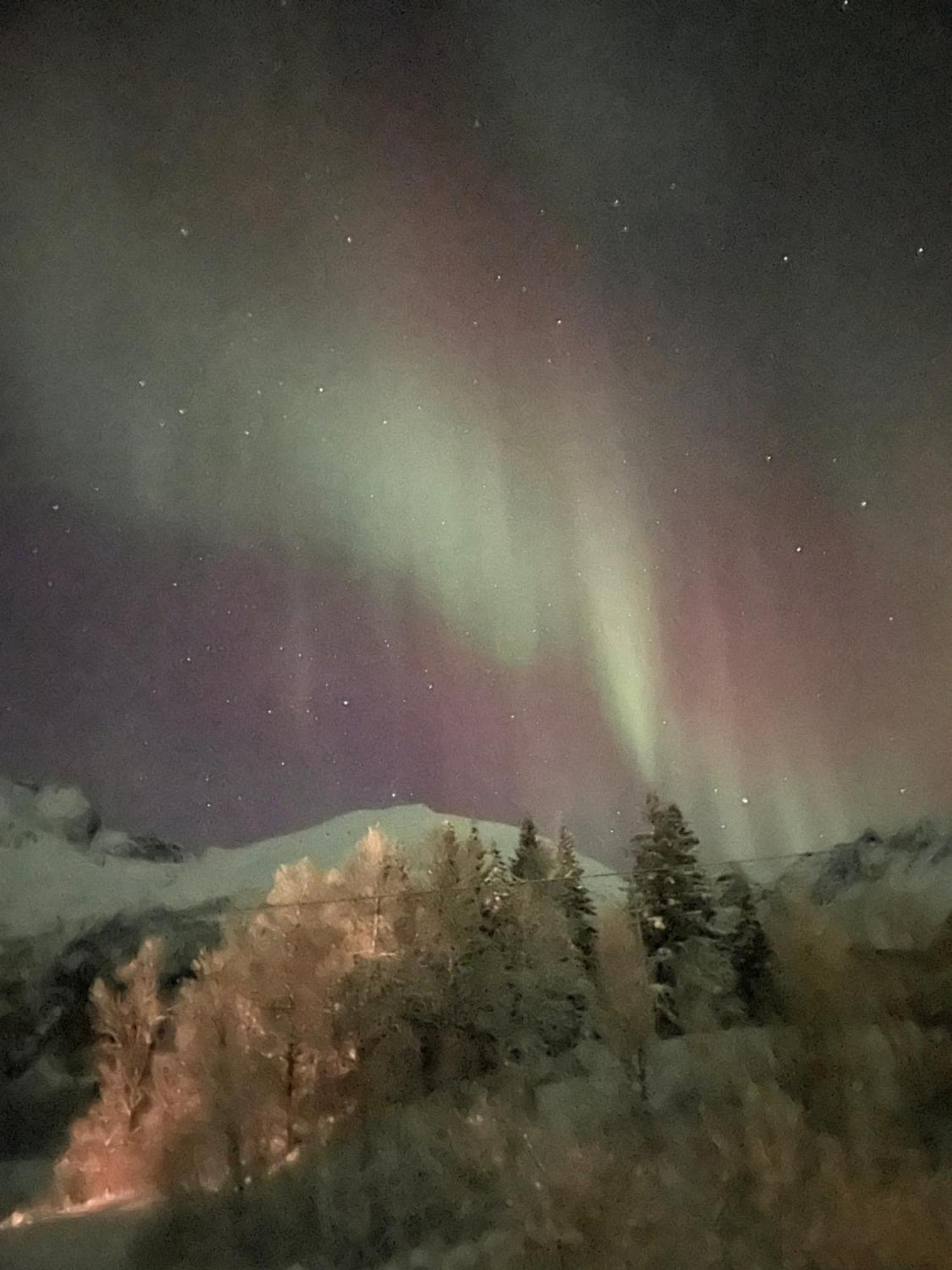 Feriehus House With Charm, Valley With Lots Of Northern Lights, Breivikeidet Tromsø