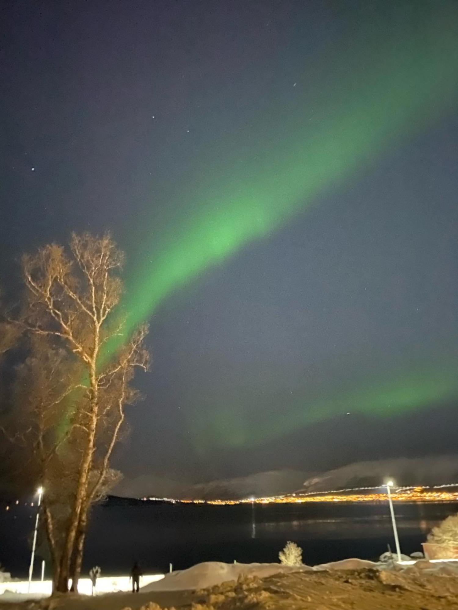 Apartment Nordheim Close To Sea Nature And Center Tromso